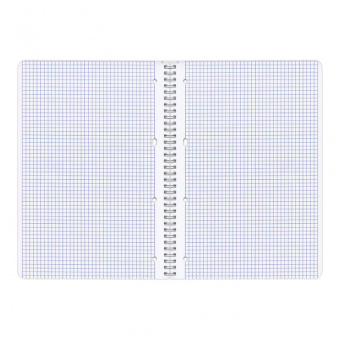 Тетрадь общая А4 Brauberg ЭКО 96 листов в клетку на гребен обложка мелованный картон.